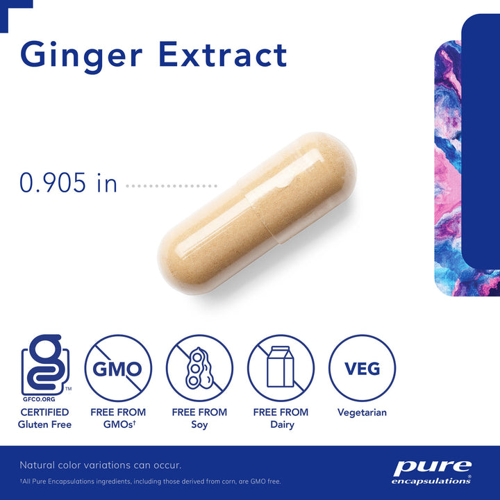 Ginger Extract 120's