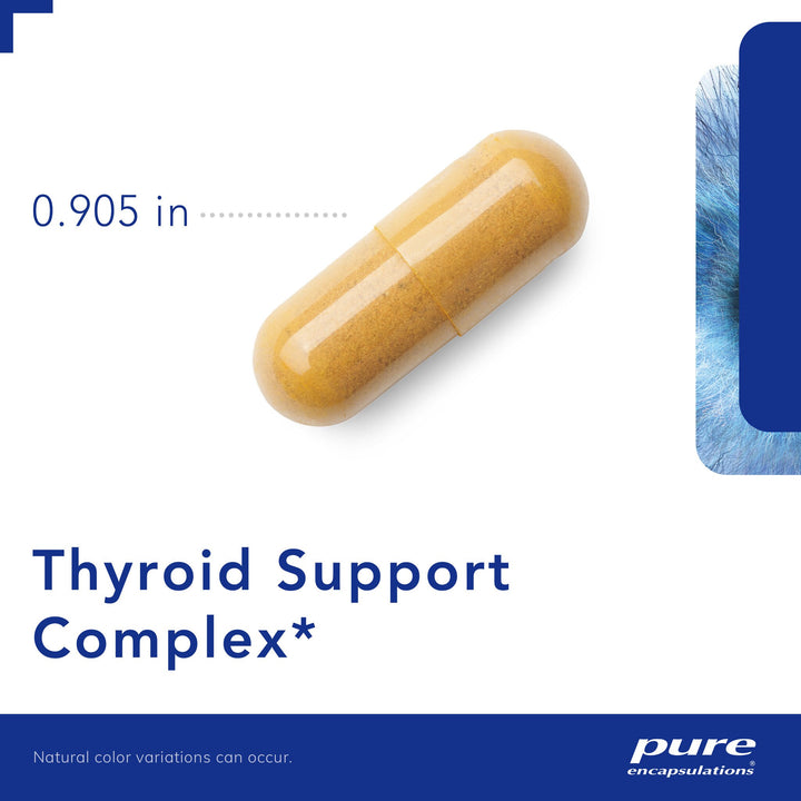 Thyroid Support Complex‡ 60's