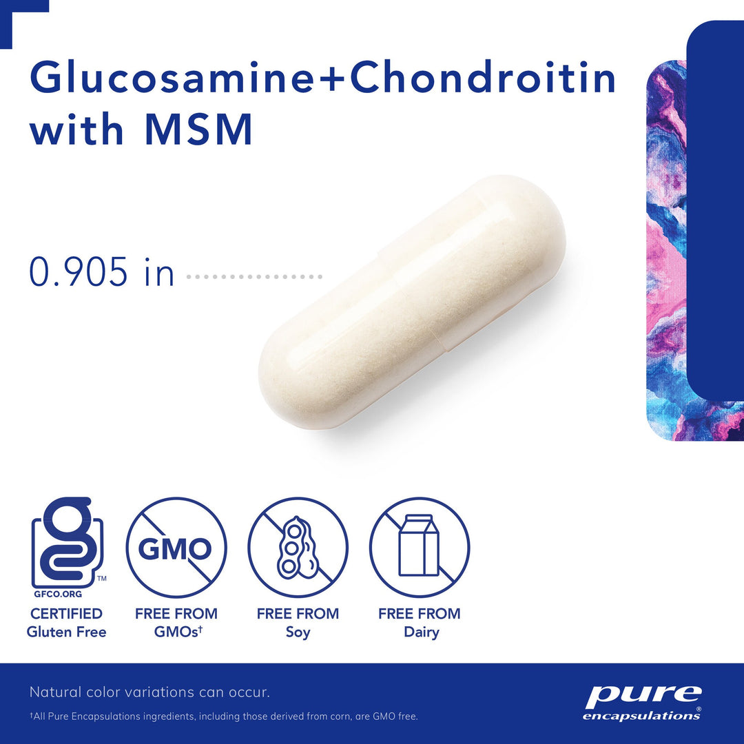 Glucosamine Chondroitin with MSM 360's