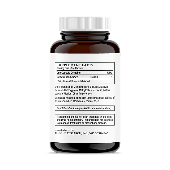 Bacillus Coagulans